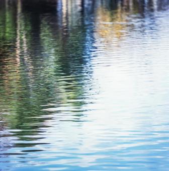 紅葉と波紋、水紋13 紅葉と波紋、水紋13の写真