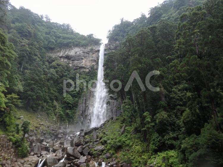 和歌山県　熊野古道 風景,景色,街道の写真素材