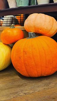 かぼちゃ かぼちゃ,ハロウィン,収穫祭の写真素材