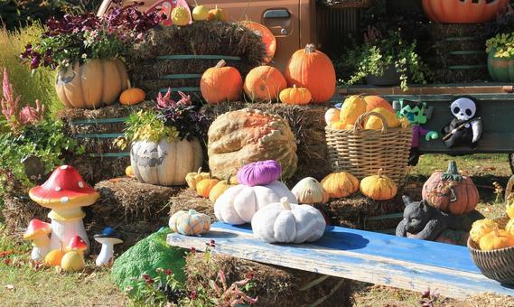 ハロウィン飾り・展示/とっとり花回廊 ハロウィン飾り・展示/とっとり花回廊 ハロウィン,ハロウィン飾り,収穫祭の写真素材