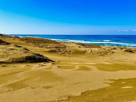 鳥取砂丘 鳥取,鳥取砂丘,鳥取県の写真素材
