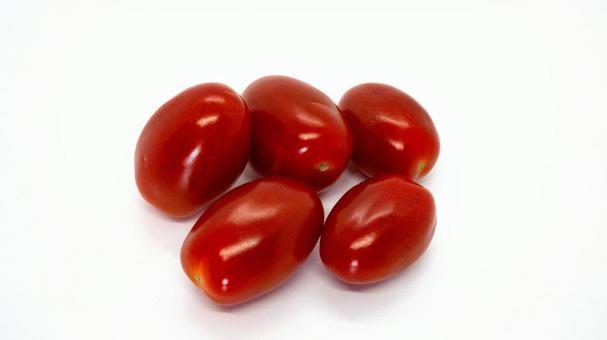 사진, 화려한 토마토, 방울 토마토, 야채, 