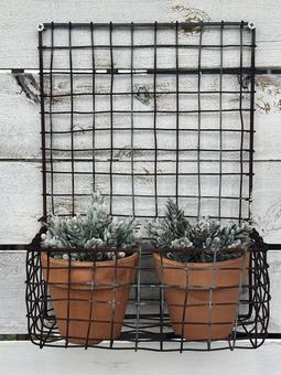 庭の飾り物 庭の飾り物の写真