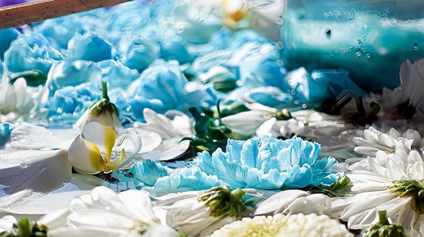水面に浮かぶ花々 水面に浮かぶ花々の写真