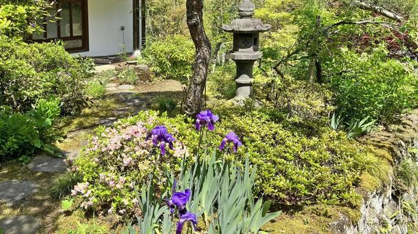秩父34観音 32番 法性寺 新緑の庭園 秩父34観音 32番 法性寺 新緑の庭園 法性寺,般若山,新緑の写真素材