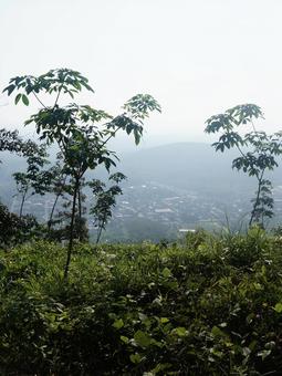 山 山の写真