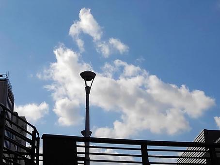 Photo, blue sky, blue, white cloud, 