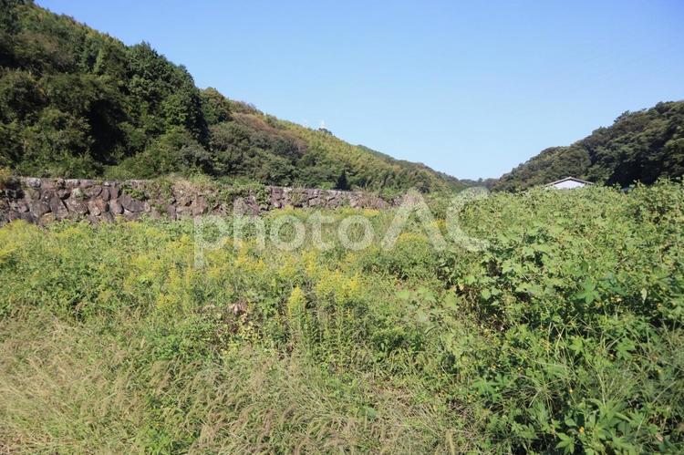 田舎の風景 田舎,山,田舎道の写真素材