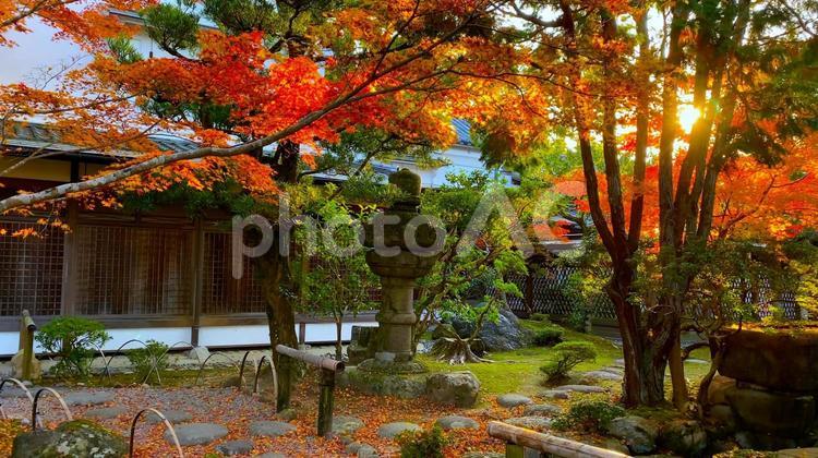 秋の奈良公園・日本庭園「吉城園」紅葉の季節（主棟と石灯籠） 秋,日本庭園,吉城園の写真素材