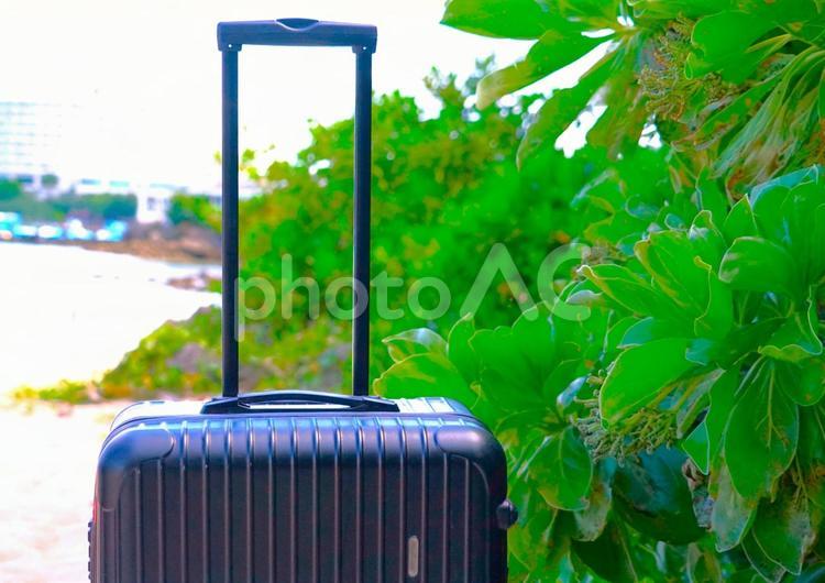 南国ビーチ、植物、キャリーケース（黒） キャリーケース,南国,ビーチの写真素材