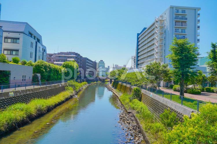 川沿いの街並み 川沿い,街並み,横浜市の写真素材