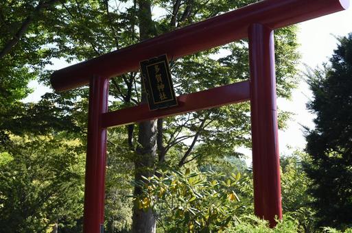 多賀神社の写真