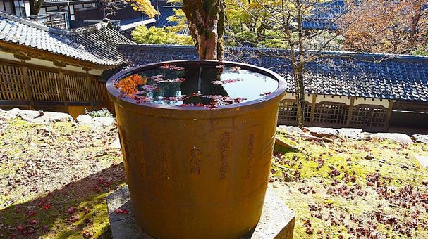 紅葉の永平寺:22 紅葉の永平寺:22 永平寺,紅葉,もみじの写真素材