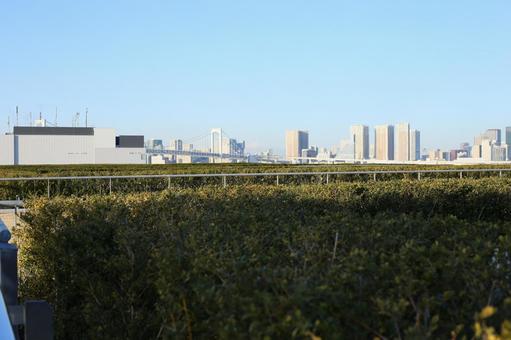 街並み 町並み,緑,東京の写真素材