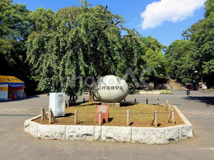 東京風景・上野公園 上野恩賜公園,晴れ,晴天の写真素材
