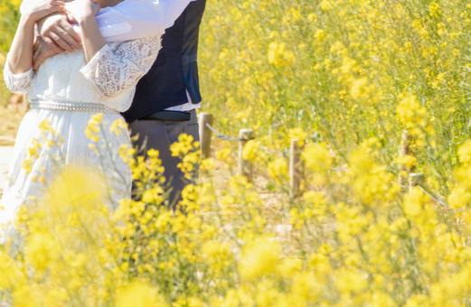 婚禮在油菜花開, JPG 婚禮在油菜花開, JPG