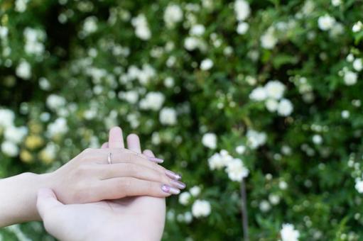 春の花の中で手を重ねるふたり① 手,愛,カップルの写真素材