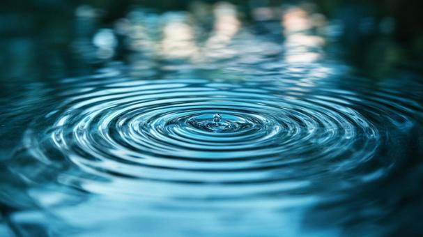 水面の静かな波紋 水面の静かな波紋の写真