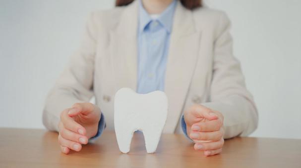 歯の模型を守る手元 歯科,医療,予防の写真素材