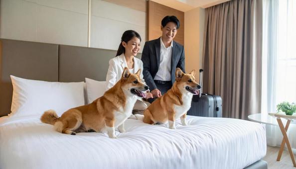 ペット可のホテルで寛ぐ愛犬と笑顔の夫婦 ペット可のホテルで寛ぐ愛犬と笑顔の夫婦の写真