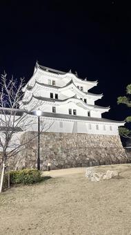Photo, kashiwazaki castle, castle, city, 