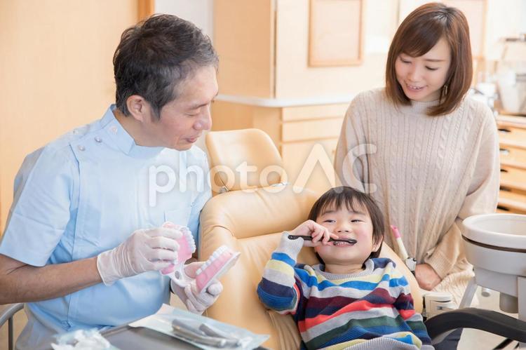 歯磨き指導を受ける子供 歯磨き指導,虫歯予防,歯磨きの写真素材