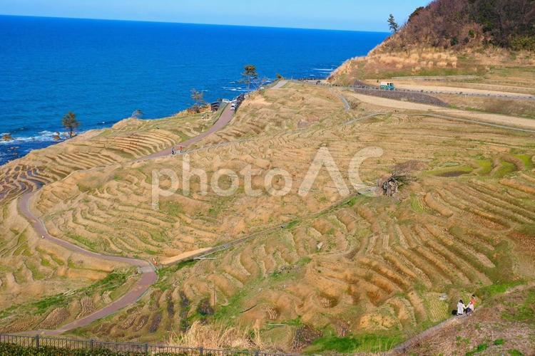 棚田　風景　景色 棚田,風景,景色の写真素材