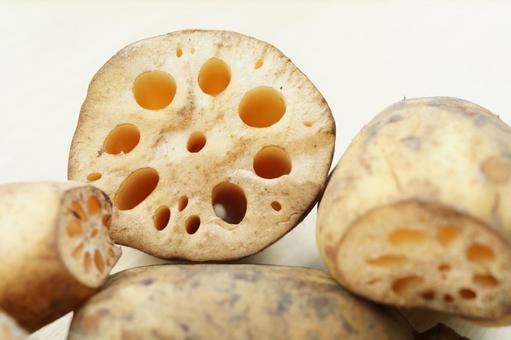 土付きレンコン　加賀野菜の写真