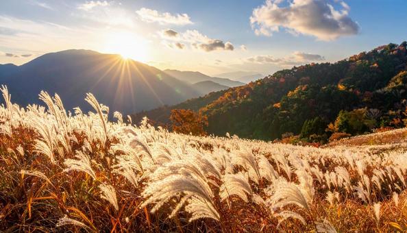 秋の山に広がるススキ草原と夕日 秋の山に広がるススキ草原と夕日の写真