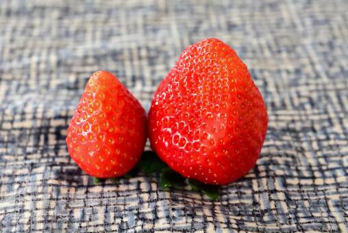 二つのイチゴ 二つ,イチゴ,フルーツの写真素材