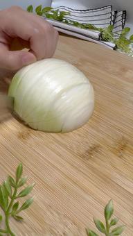 たまねぎ 玉ねぎ,野菜,食材の写真素材