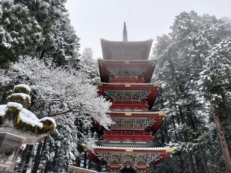 冬の日光東照宮 冬の日光東照宮 五重塔,石灯籠,日光東照宮の写真素材