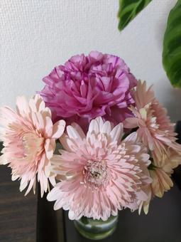 フラワーアレンジ フラワー,ピンク,ガーベラの写真素材