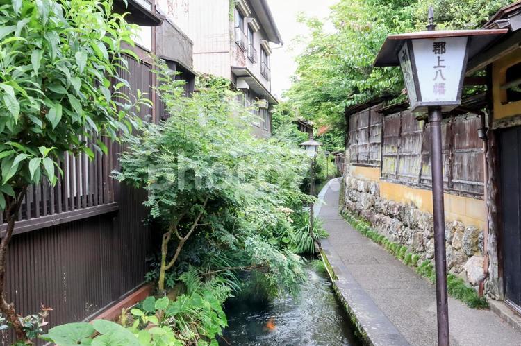 郡上八幡いがわ小径　散策 郡上八幡,川,自然の写真素材