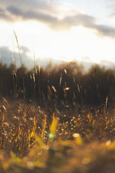 ビーナスラインの秋 ビーナスライン,長野県,車山高原の写真素材