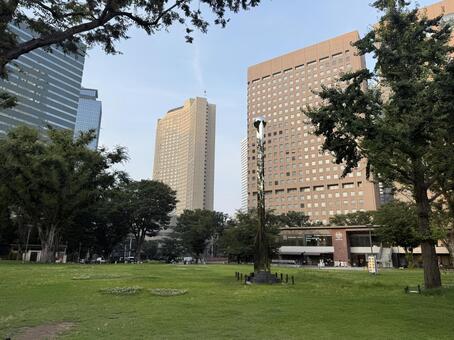 夕方　ビルの谷間の芝生　夏 芝生,夏,東京の写真素材