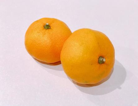 みかん みかん,蜜柑,ミカンの写真素材