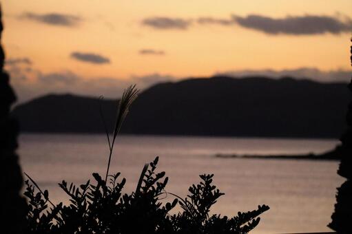 秋の夕暮れとススキ 夕暮れ,ススキ,陰の写真素材