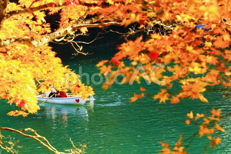 秋の旅行のイメージ 旅,旅行,観光の写真素材