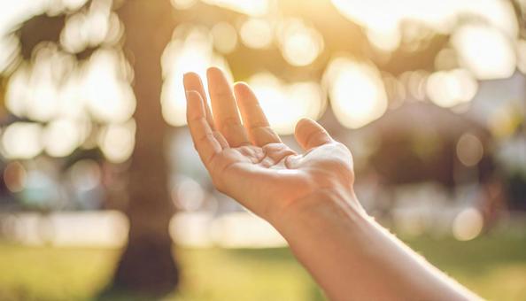 手のひら 女性1 手のひら 女性1の写真