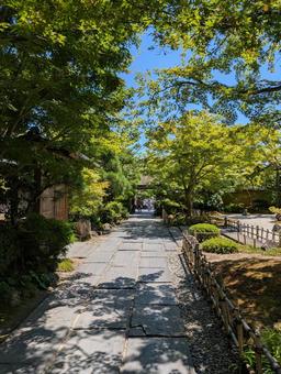 円通院 円通院 松島,松島海岸,円通院の写真素材