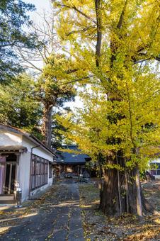 磯良神社⑶ 神社,磯良神社,おかっぱ様の写真素材