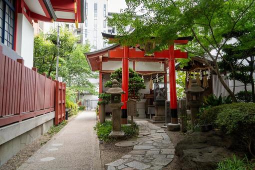 大阪 御霊神社 松ノ木神社と大黒社 大阪 御霊神社 松ノ木神社と大黒社 御霊神社,御霊,神社の写真素材