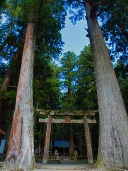 龍穴神社 龍穴神社,神社,鳥居の写真素材