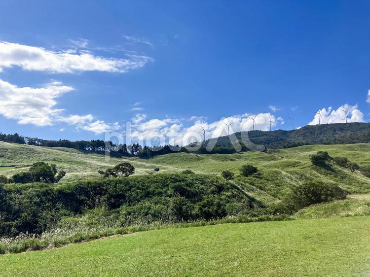 細野高原　静岡県　東伊豆 細野高原,高原,静岡県の写真素材