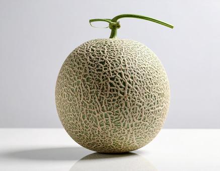 マスクメロン マスクメロンの写真