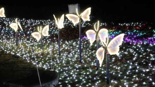 虹の郷　イルミネーション イルミネーション,クリスマス,夜景の写真素材