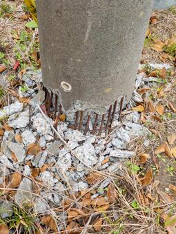 倒れかかった電柱 電柱,電信柱,インフラの写真素材