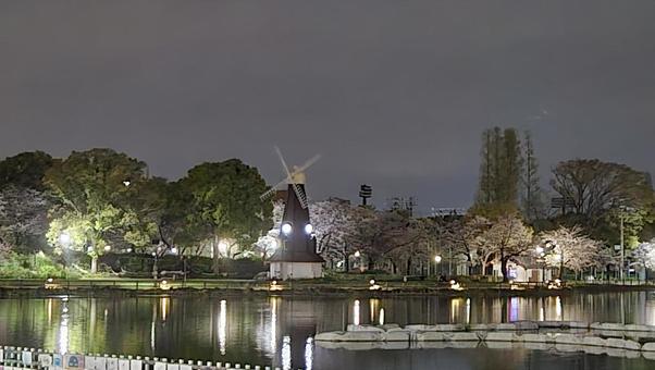 浮間公園 浮間公園 風景,自然,風車の写真素材