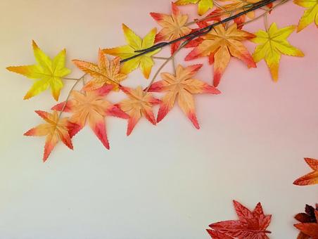 秋イメージ(紅葉)4 秋イメージ(紅葉)4の写真